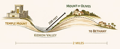 Jesus’s route between the Temple Mount and Bethany where He lodged at night.